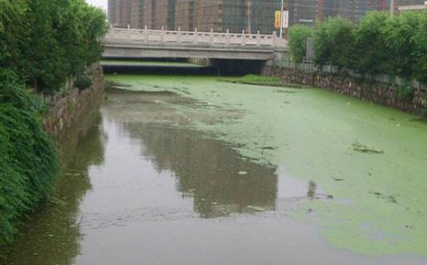 河道水体修复技术及技术因数要素制造方法